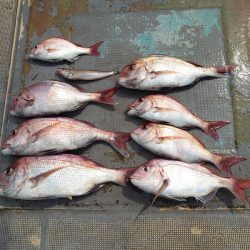 FISHING RISKY 釣果