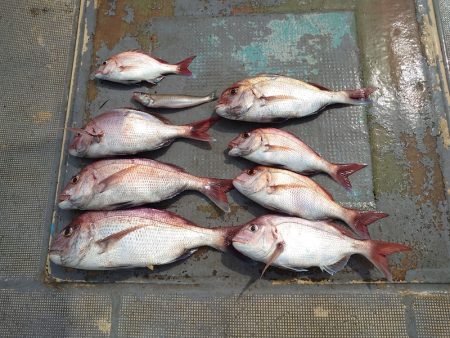 FISHING RISKY 釣果