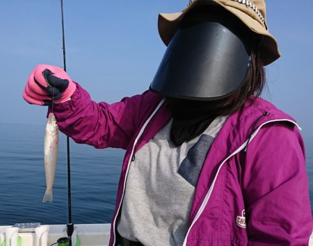 遊漁船 家入 釣果