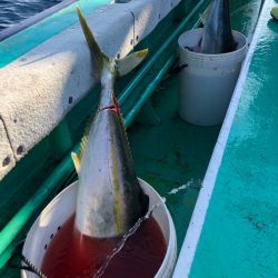 海友丸 釣果