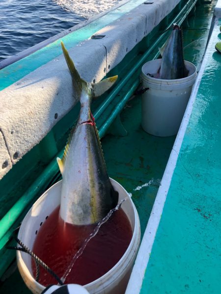 海友丸 釣果