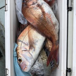 フィッシング キッタカ 釣果