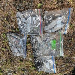 あみや渡船 釣果