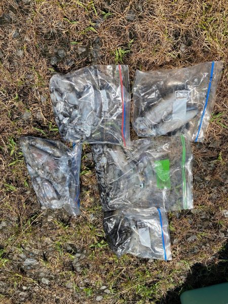 あみや渡船 釣果