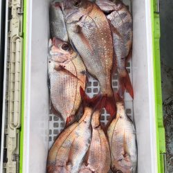 フィッシング キッタカ 釣果