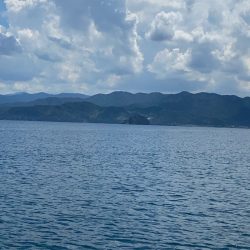 あみや渡船 釣果