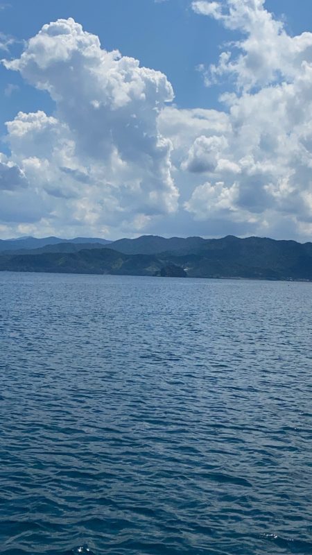 あみや渡船 釣果