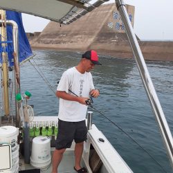 海峰 釣果