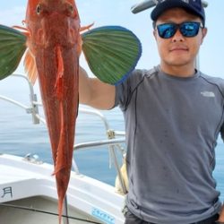 遊漁船 ニライカナイ 釣果