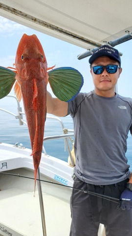 遊漁船 ニライカナイ 釣果