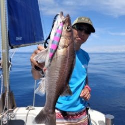 鯛紅丸 釣果