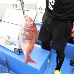 鯛紅丸 釣果