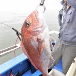 鯛紅丸 釣果