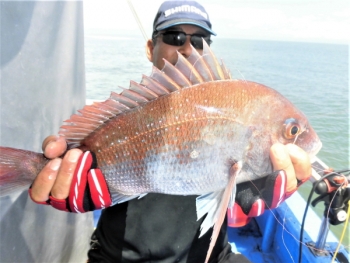 鯛紅丸 釣果