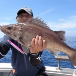 鯛紅丸 釣果