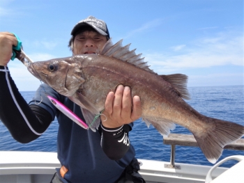 鯛紅丸 釣果