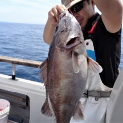 鯛紅丸 釣果