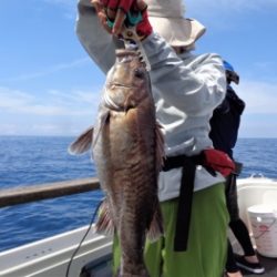 鯛紅丸 釣果