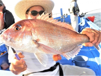 鯛紅丸 釣果
