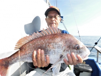 鯛紅丸 釣果