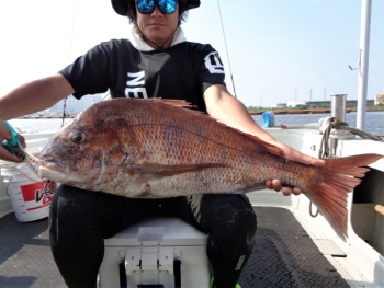 鯛紅丸 釣果