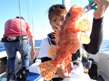 鯛紅丸 釣果