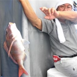 鯛紅丸 釣果