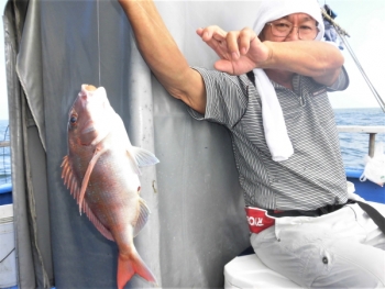 鯛紅丸 釣果