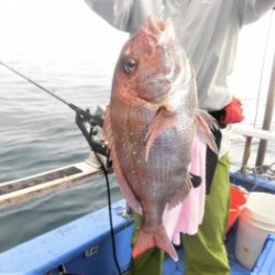 鯛紅丸 釣果