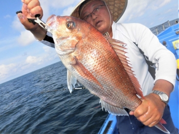 鯛紅丸 釣果