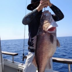 鯛紅丸 釣果