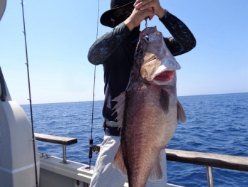 鯛紅丸 釣果