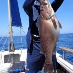 鯛紅丸 釣果