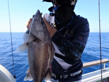 鯛紅丸 釣果