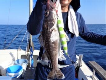 鯛紅丸 釣果