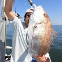 鯛紅丸 釣果