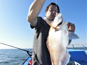 鯛紅丸 釣果