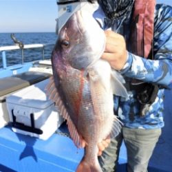 鯛紅丸 釣果