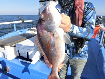 鯛紅丸 釣果