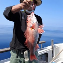 鯛紅丸 釣果