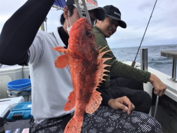 鯛紅丸 釣果