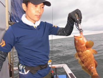 鯛紅丸 釣果