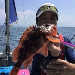 鯛紅丸 釣果