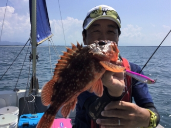 鯛紅丸 釣果