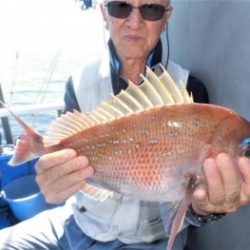 鯛紅丸 釣果