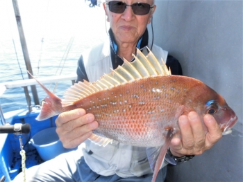 鯛紅丸 釣果