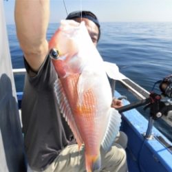 鯛紅丸 釣果
