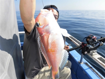 鯛紅丸 釣果