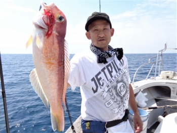 鯛紅丸 釣果
