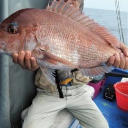 鯛紅丸 釣果
